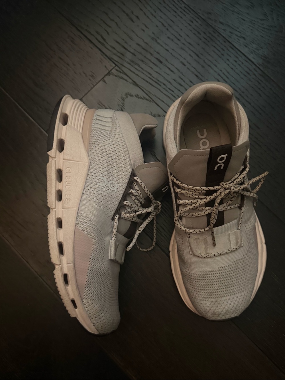 On Cloud Running Shoes Light Gray